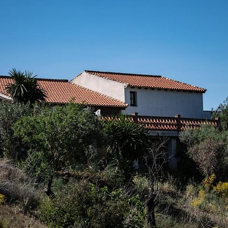 알로라 Peace And Tranquility At Montana Retreat 아파트 외부 사진